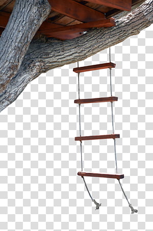 Tree House Rope Ladder , brown hanging ladder on tree house