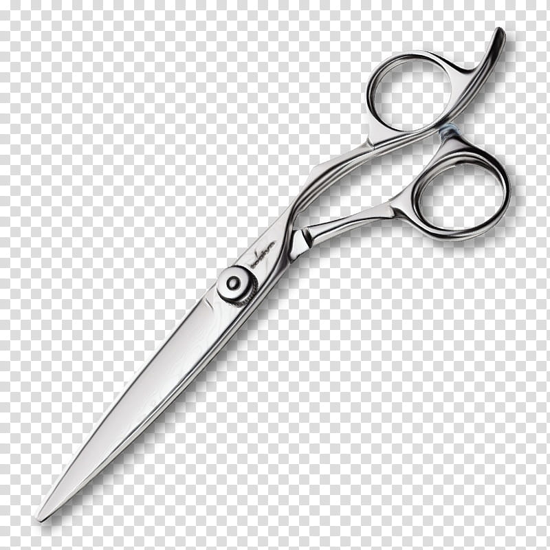 Hair, Scissors, Thinning Scissors, Hairdresser, Barbershop, Haircutting Shears, Hairstyle, Price transparent background PNG clipart