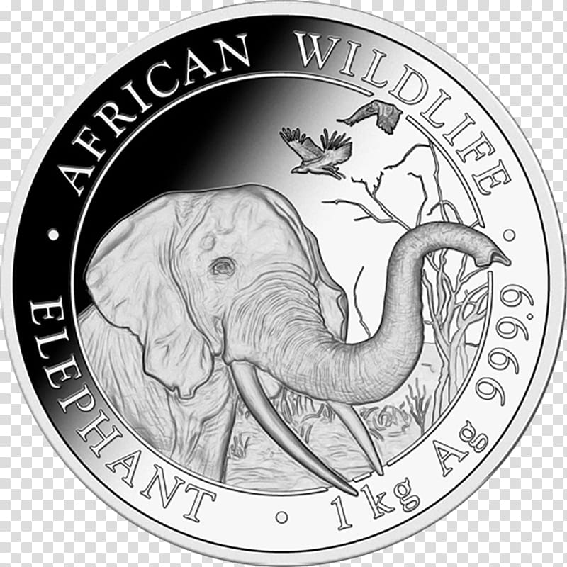 Indian Elephant, Somalia, Coin, Bullion Coin, Silver Coin, Jm Bullion, Privy Mark, Gold Coin transparent background PNG clipart