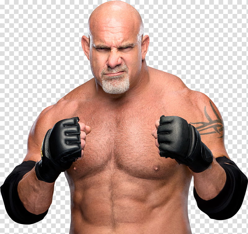 Goldberg   transparent background PNG clipart