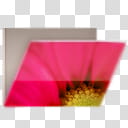 Glossy Garden Folders, red flower folder icon transparent background PNG clipart
