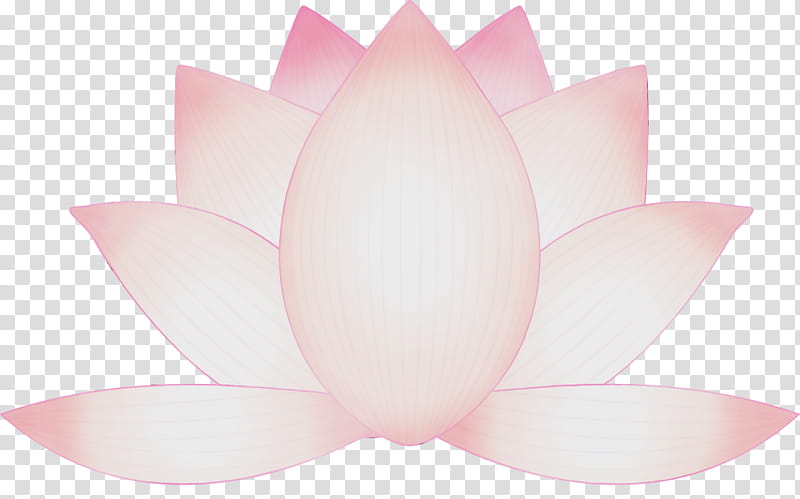 Lotus, Flower, Watercolor, Paint, Wet Ink, Lotus Family, Pink, Sacred Lotus transparent background PNG clipart