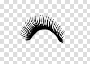 black eye lashes transparent background PNG clipart