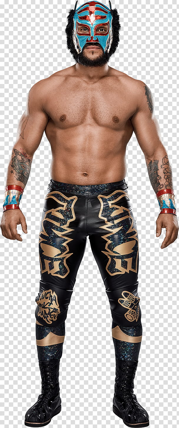 Lince Dorado () Stats transparent background PNG clipart