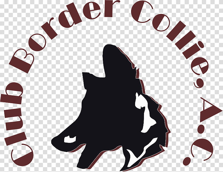 Dog And Cat, Border Collie, Rough Collie, Sheltie, Icelandic Sheepdog, Shepherd Dog, Collie Club Of America, Herding Dog transparent background PNG clipart