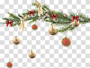 Christmas ornaments Christmas decoration Christmas, Christmas 
, Oregon Pine, Colorado Spruce, Christmas Tree, Branch, Fir, Holiday Ornament transparent background PNG clipart thumbnail