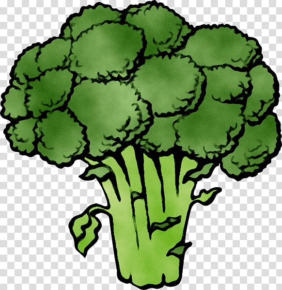 Green Leaf, Broccoli, Cauliflower, Vegetable, Broccoli Slaw, Greens, Coleslaw, Food transparent background PNG clipart