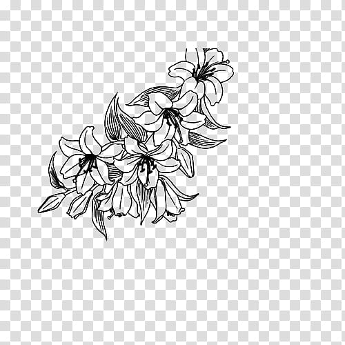 Flores, black petaled flower transparent background PNG clipart