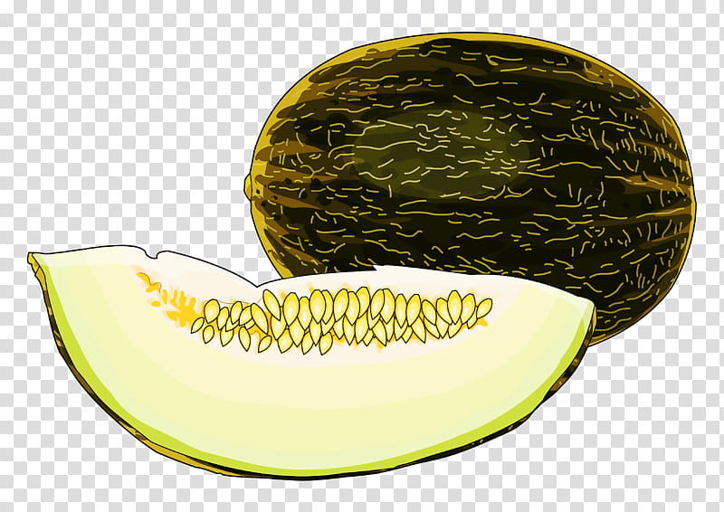 melon galia muskmelon cantaloupe fruit, Honeydew, Cucumber Gourd And Melon Family, Cucumis, Yellow, Plant transparent background PNG clipart