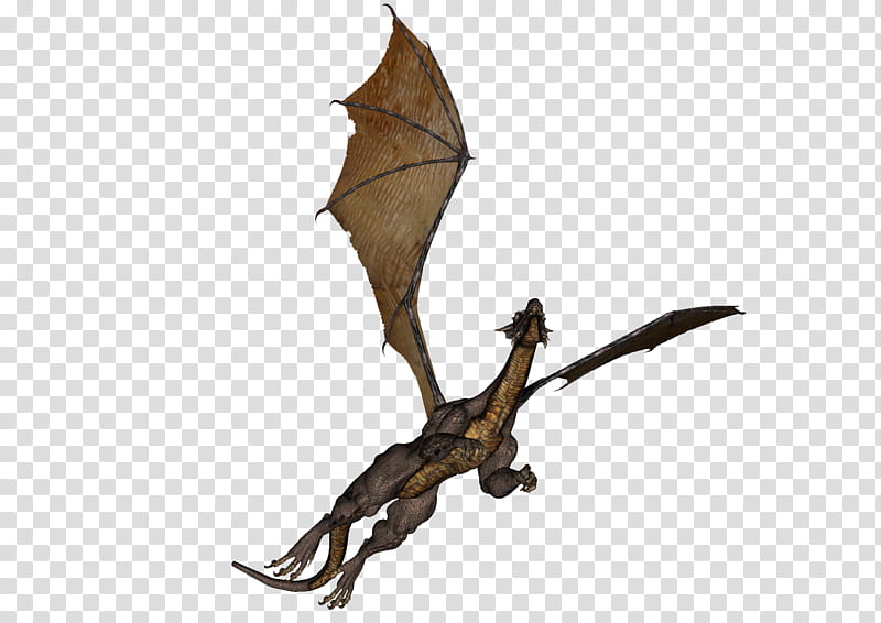Dragon , flying brown dragon transparent background PNG clipart