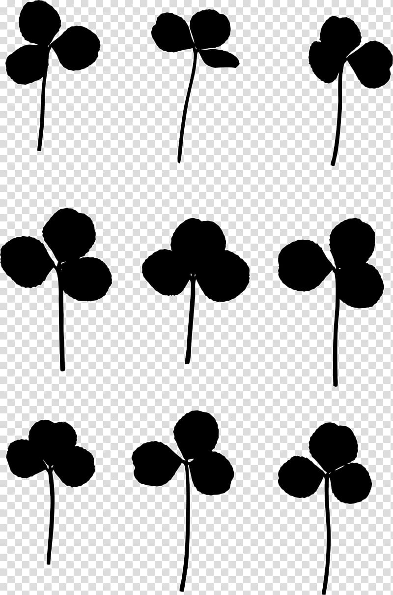 Flower White, Alamy, White Clover, 1000000, Blackandwhite, Leaf, Line, Plant transparent background PNG clipart