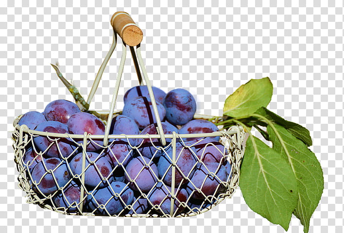 Plum Blossom, Prunus Salicina, Fruit, Food, , Damson, Berries, Common Plum transparent background PNG clipart