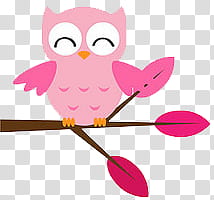 pink owl on tree branch artwork transparent background PNG clipart