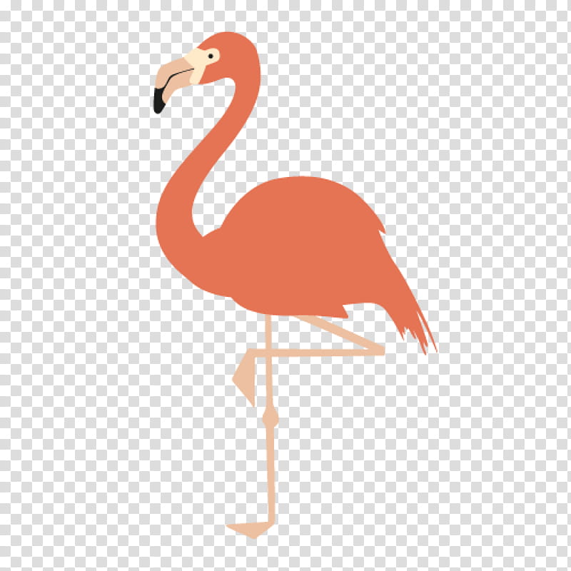 Flamingo Drawing, Painting, Canvas, Film, Canvas Print, Greater Flamingo, Artist, Printmaking transparent background PNG clipart