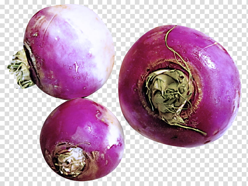 turnip purple violet rutabaga food, Vegetable, Plant transparent background PNG clipart