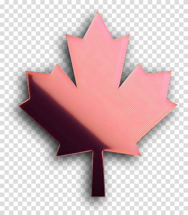 Family Tree, Maple Leaf, Woody Plant, Pink, Construction Paper, Symbol, Soapberry Family, Plane transparent background PNG clipart