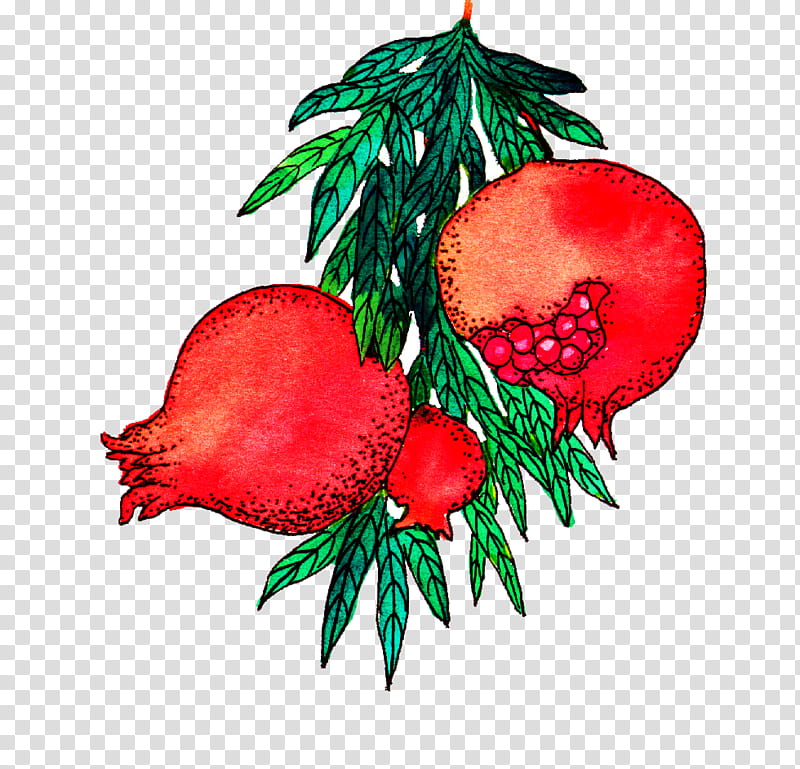 fruit, red pomegranate fruit art transparent background PNG clipart