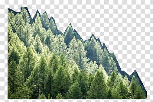 Mountains , green pine trees transparent background PNG clipart