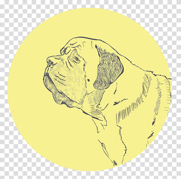 Dog Drawing, Puppy, Snout, Breed, Yellow, English Mastiff, Boerboel, Boxer transparent background PNG clipart