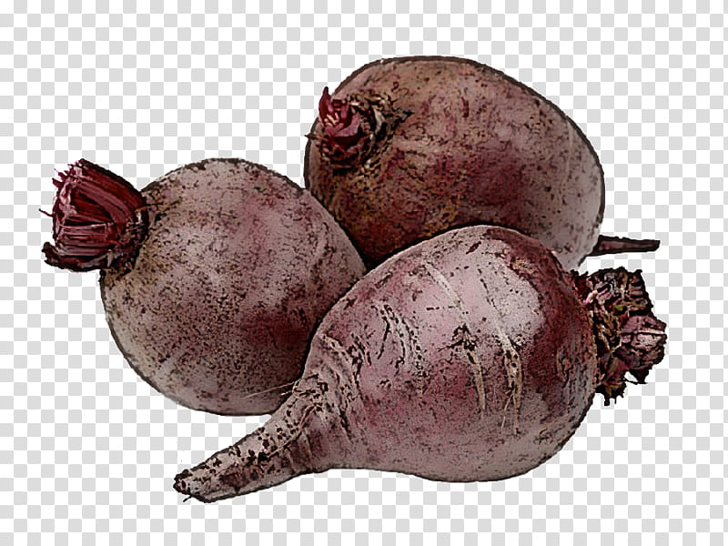 beetroot beet vegetable food root vegetable, Tuber, Radish, Plant, Shallot transparent background PNG clipart