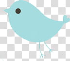 Super descargatelo, blue bird transparent background PNG clipart