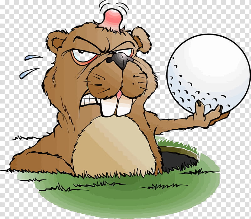 groundhog day happy groundhog day groundhog, Spring
, Cartoon transparent background PNG clipart