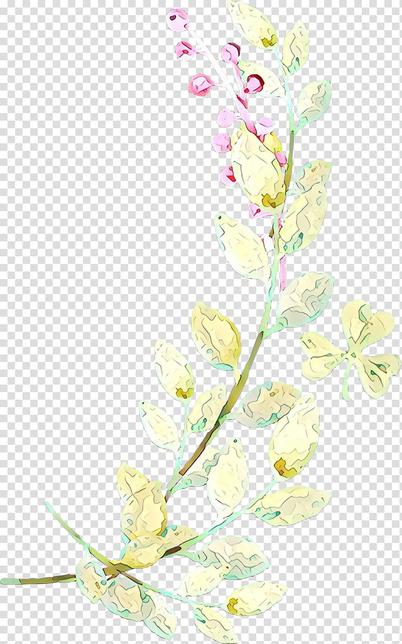Flowers, Floral Design, Cut Flowers, Plant Stem, Petal, Plants, Twig, Spring Framework transparent background PNG clipart