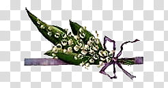 Dont Forget Love s, green leafed plant illustration transparent background PNG clipart