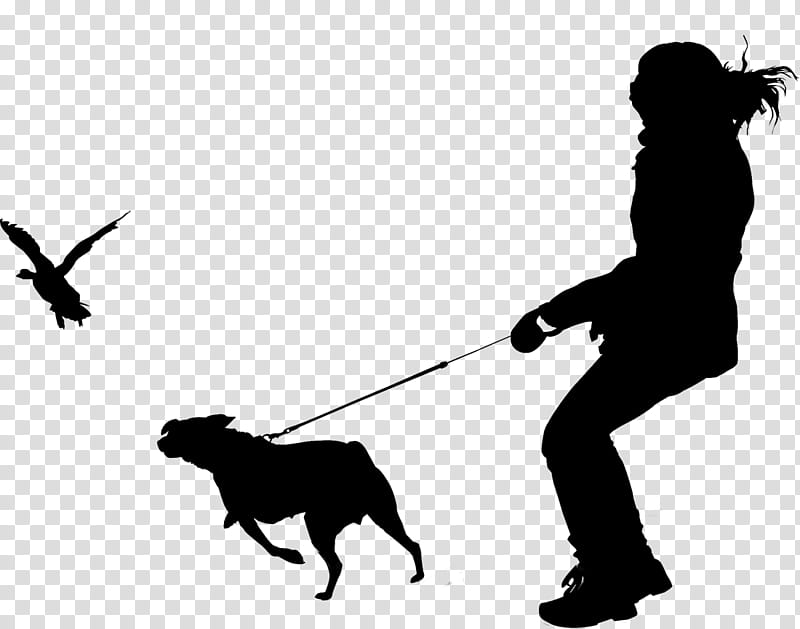 Dog Silhouette, Leash, Human, Breed, Behavior, Sky, Black M, Dog Walking transparent background PNG clipart