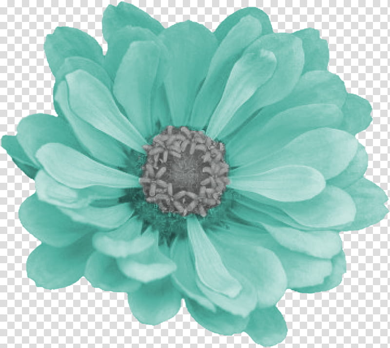 Smile Scrap Kit Freebie, green common zinnia transparent background PNG clipart