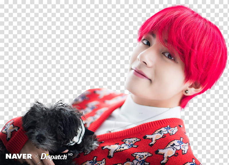 BTS XMAS DISPATCH  transparent background PNG clipart