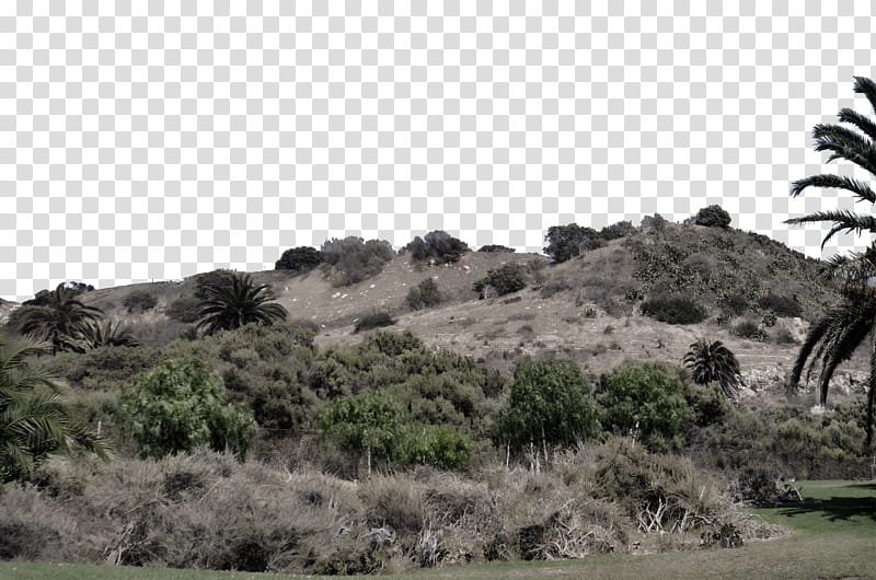 Hill at Cliff Desat DSC  transparent background PNG clipart