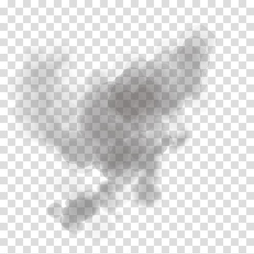 Brushs ALL transparent background PNG clipart