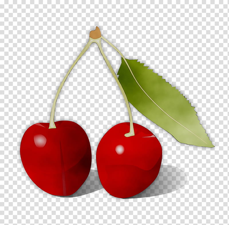 Tree Of Life, Cherries, Cartoon, Wild Cherry, Black Cherry, Still Life , Piano, Red transparent background PNG clipart