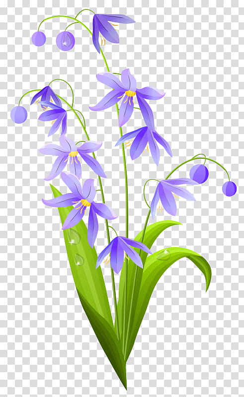 Easter Lily, Flower, Floral Design, Cut Flowers, Drawing, Plant, Violet, Purple transparent background PNG clipart