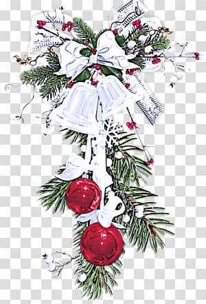 Christmas ornament, Oregon Pine, Colorado Spruce, Christmas Decoration, Tree, Christmas Tree, Holiday Ornament, Plant transparent background PNG clipart thumbnail