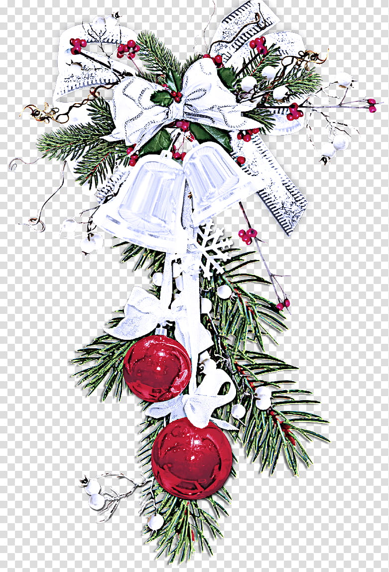 Christmas ornament, Oregon Pine, Colorado Spruce, Christmas Decoration, Tree, Christmas Tree, Holiday Ornament, Plant transparent background PNG clipart Christmas ornament, Oregon Pine, Colorado Spruce, Christmas Decoration, Tree, Christmas Tree, Holiday Ornament, Plant transparent background PNG clipart