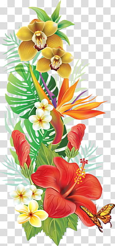 Tropical, variety of flowers artwork transparent background PNG clipart