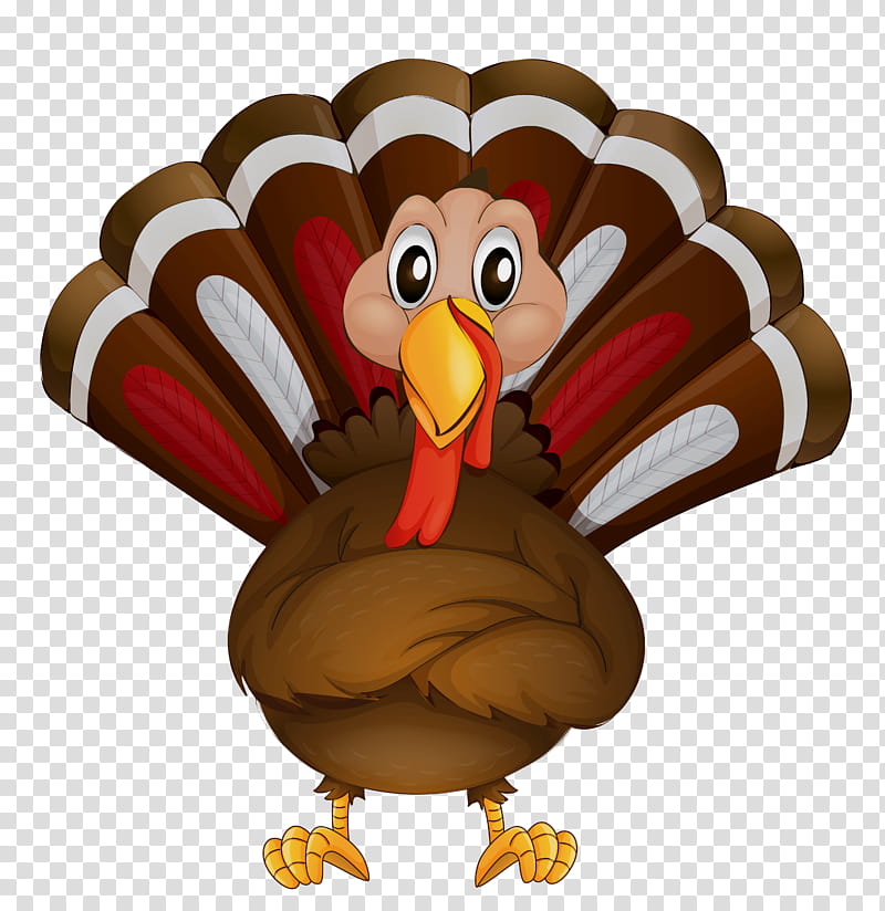 Thanksgiving Turkey Drawing, Wild Turkey, Turkey Meat, Pumpkin Pie, Thanksgiving Dinner, Cartoon, Bird, Animation transparent background PNG clipart