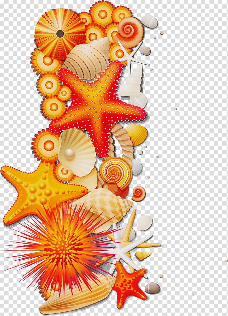 Watercolor, Paint, Wet Ink, Seashell, Orange, Organism transparent background PNG clipart