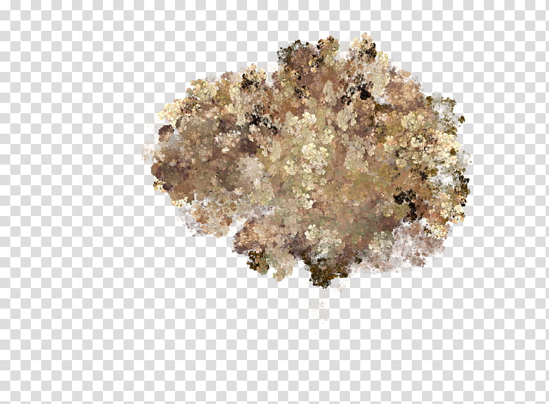 Aqua Set Fractal Set III, brown flowers illustration transparent background PNG clipart