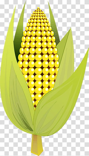 Watercolor Flower, Paint, Wet Ink, Corn On The Cob, Maize, Sweet Corn, Corncob, Maize Ear transparent background PNG clipart thumbnail