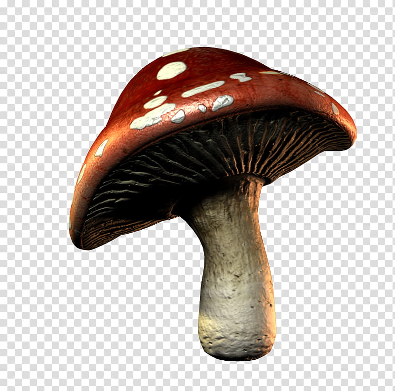 E S Mushrooms, red mushroom icon transparent background PNG clipart
