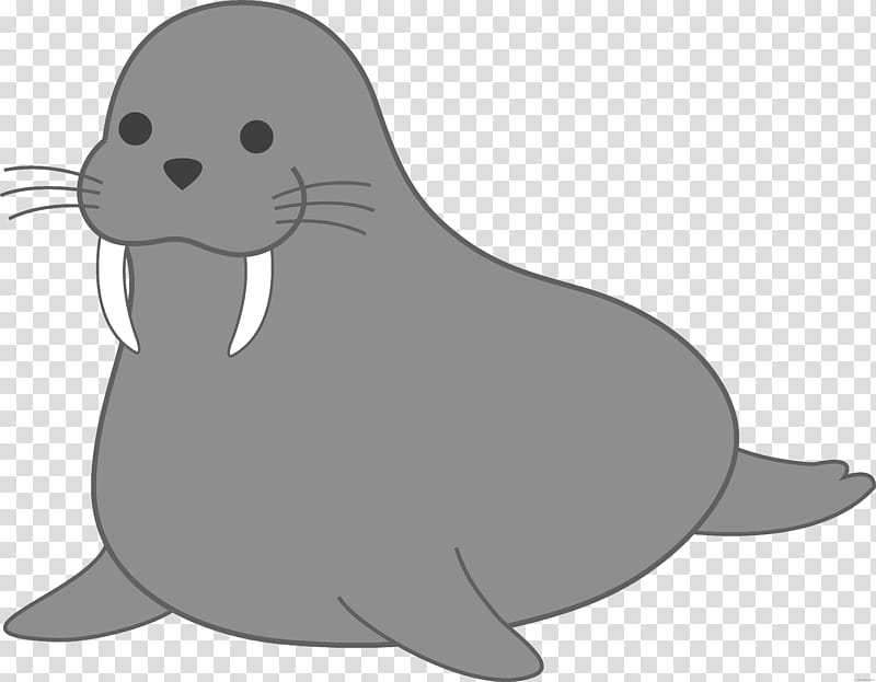 Beaver, Walrus, Earless Seal, Sea Lion, Drawing, Seals, Whiskers, Black And White transparent background PNG clipart