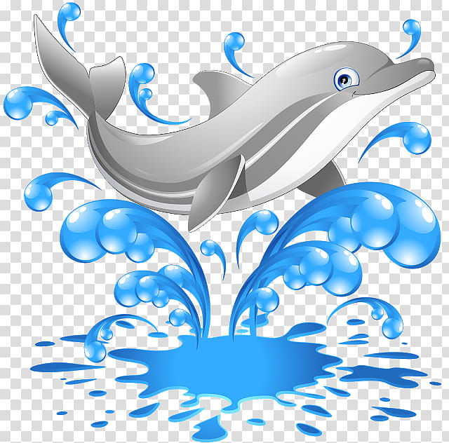 Water, Dolphin, Oceanic Dolphin, Whales, Bottlenose Dolphin, Common Dolphins, Cetacea, Shortbeaked Common Dolphin transparent background PNG clipart