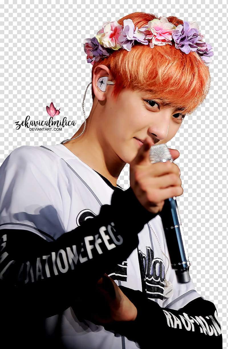 EXO Chanyeol  EXOrDIUM in Seoul, man in gray and black shirt transparent background PNG clipart