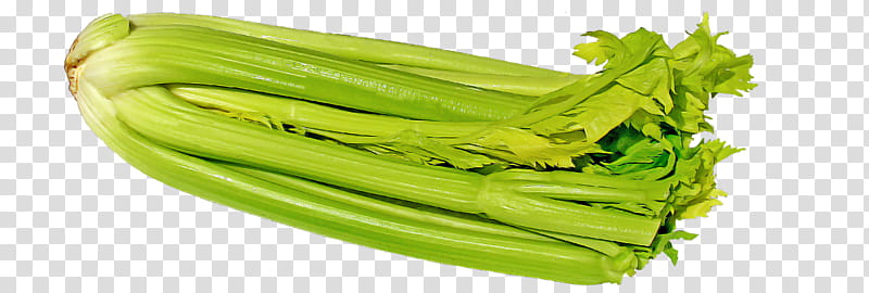 vegetable celery plant food leaf vegetable, Choy Sum transparent background PNG clipart