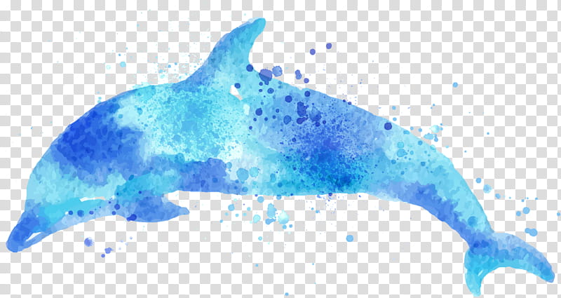 Watercolor Paper, Watercolor Painting, Drawing, Dolphin, Cetacea, Blue Whale, Bottlenose Dolphin, Common Dolphins transparent background PNG clipart