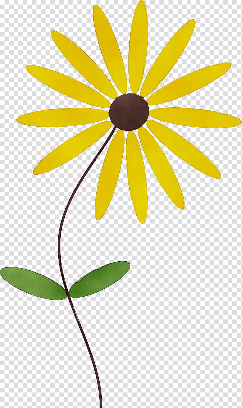 yellow flower plant black-eyed susan petal, Watercolor, Paint, Wet Ink, Blackeyed Susan, Leaf, Chamomile transparent background PNG clipart