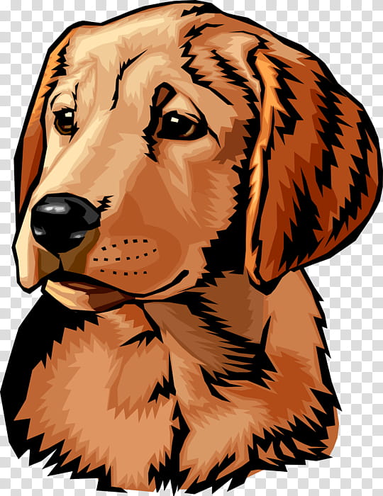 Golden Retriever, Labrador Retriever, Dachshund, Dog Training, Hunting Dog, Search And Rescue Dog, Police Dog, Pet transparent background PNG clipart
